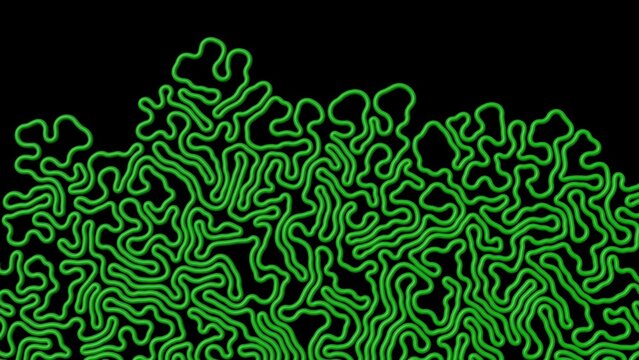 3d Differential Growth simulation. Evolving meandering growing line.  Simple line growing into complex structure. 3d simulation render illustration.