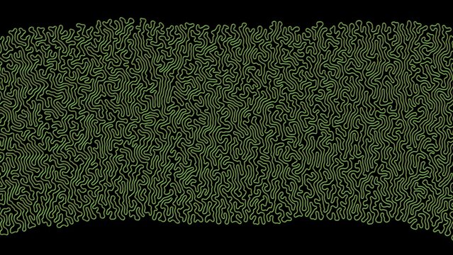 3d Differential Growth simulation. Evolving meandering growing line.  Simple line growing into complex structure. 3d simulation render illustration.