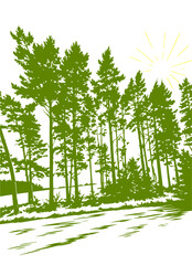 Obraz premium Forest green silhouette Hand drawn. Not AI, vector illustration