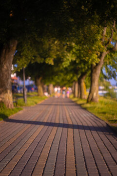 Blurred park pathway with stone brick sidewalk under shady trees in summer