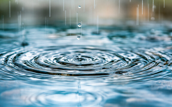 Raindrops falling on water surface creating ripples