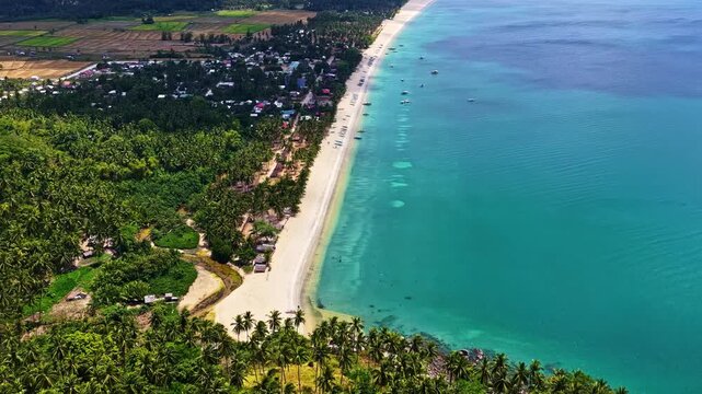 Aerial view of the long sandy beach at San Vicente Viewpoint, featuring lush palm trees, turquoise waters, and coastal vegetation in San Vicente, Mimaropa, Philippines.
