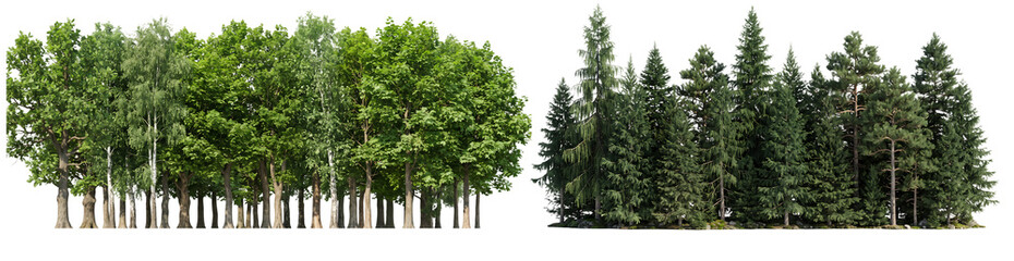 Forest Trees Line PNG Collection Mixed Pine Conifer and Broadleaf Forest Trees Strip Isolated Landscape Border Environment Design Assets Woodland Panorama © fip3