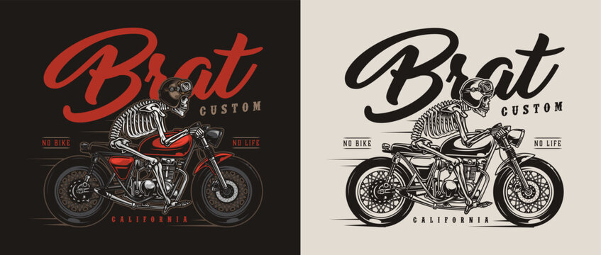 vector illustration