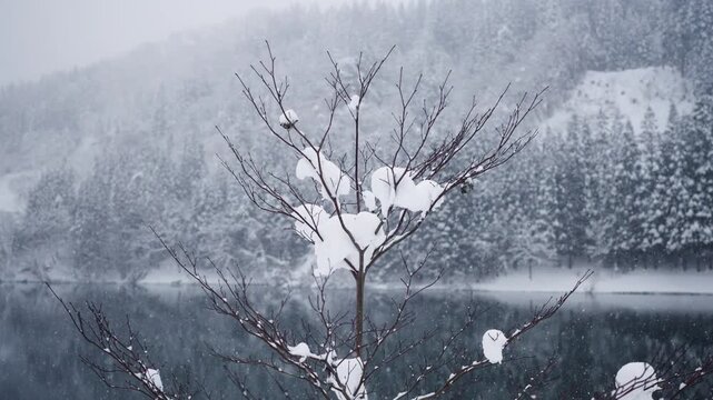 Heavy snowfall over lake and forest in winter mountain landscape, snowy tree branches with calm water and scenic cold weather nature scenery in peaceful wilderness