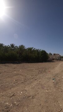Distant view of Masjid Quba minarets from a sunny dirt field with palm trees.