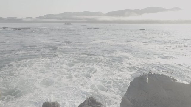 Aerial view flying away from sea rock with birds off Washington coast , ocean waves of Olympic Peninsula (D-log / Ungraded version)