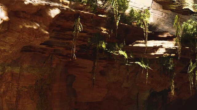 A cave entrance shows a large rock structure with green plants hanging from the ceiling. The scene is found in a natural landscape with sunlight illuminating the area.