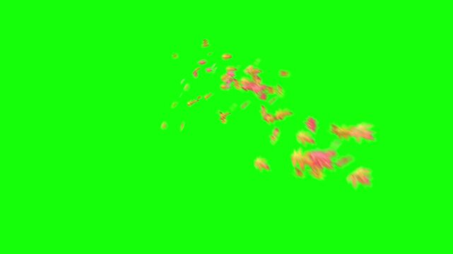Autumn leaves transition flow swirling toward on green screen background