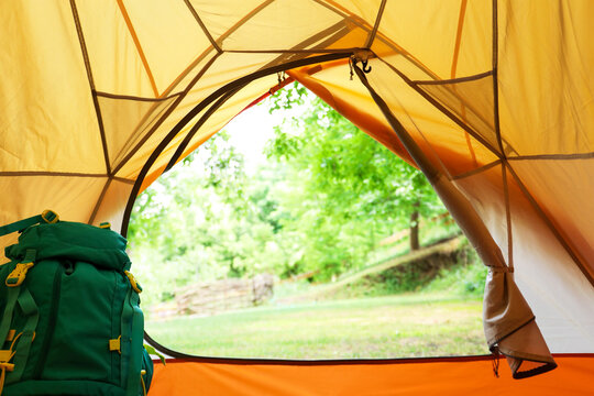 View from inside tent on beautiful forest