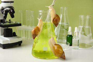 Modern microscope with laboratory glassware of colorful samples, Achatina snails and cosmetic products on white table near green wall © Pixel-Shot