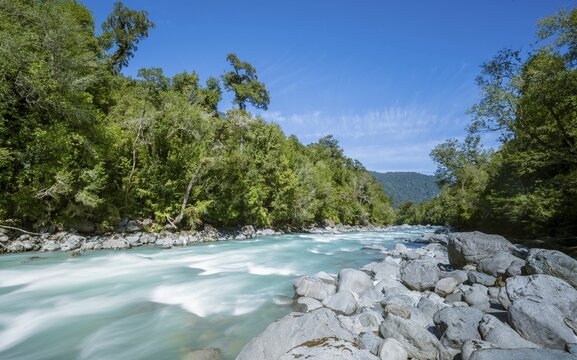 Turquoise blue Rio Blanco river flows through temperate rainforest, Valdivian or northern Patagonian rainforest, Ruta de los Parques, Hornopir&eacute;n, Hualaihu&eacute;, Los Lagos, Patagonia Verde, Chile