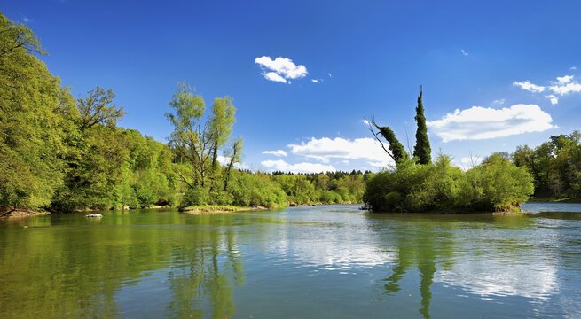 Small island in the Reuss river, beech trees sprouting leaves in spring, Niederwil, Gnadental, Bremgarten district, Canton of Aargau, Switzerland