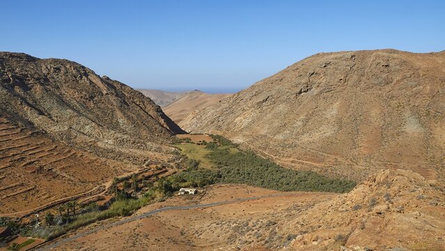 View into the Barranco de Las Penitas, barren hills, green oasis, blue cloudless sky, Mirador de Las Penitas, Fuerteventura, Canary Islands, Spain