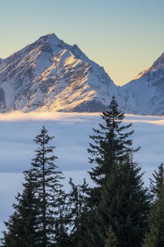 Winter mountain landscape with closed fog cover over the Inn valley, in the background the Gleirsch-Halltal range of the Karwendel mountains, seen from the Pillberg, Inn valley, Tyrol, Austria