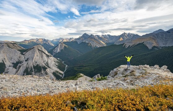 Autumn yellow bush, hiker stretches arms in the air Mountain landscape with river valley and peaks, peaks with orange sulphur deposits, panoramic view, Nikassin Range, near Miette Hotsprings, Sulphur Skyline, Jasper National Park, Alberta, Canada