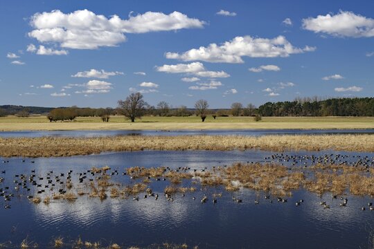 River landscape with clouds in the blue sky and reflecting water, Elbaltarme, Penkefitz, Wendland, Lower Saxony, Germany