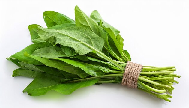 Fresh Bundle Of Sorrel Leaves On White Background Green Herb Fresh Vegetable