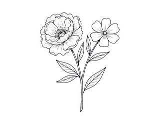 Obraz premium Detailed floral sketch with peony and daisy flowers