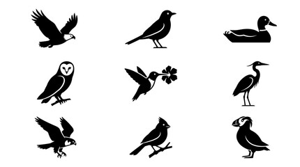 Fototapeta premium Diverse bird species and avian silhouette icons.