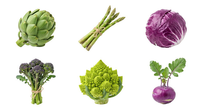 Fresh green and purple vegetables set, organic artichoke and asparagus collection, healthy raw romanesco and cabbage on white