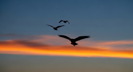 Fototapeta premium Silhouettes of birds soaring against a vibrant sunset sky
