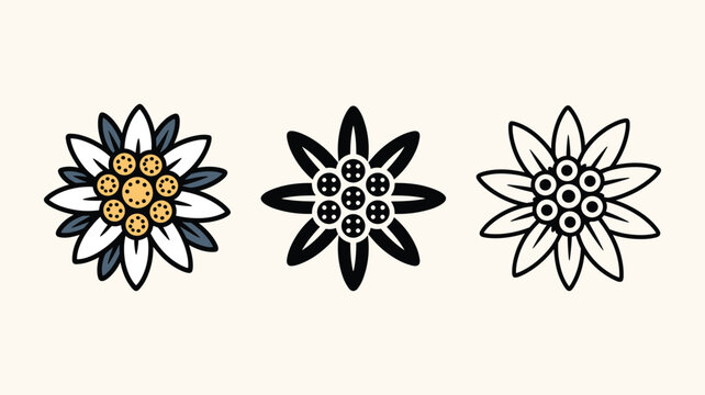 Set of edelweiss flower illustrations in color and outline styles for traditional mountain themed designs.