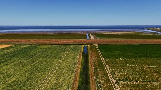 Aerial view of the Eemshaven Industrial Energy Complex landscape with lush agricultural fields, a straight irrigation canal, and the Wadden Sea coastline in Eemshaven, Groningen, Netherlands.
