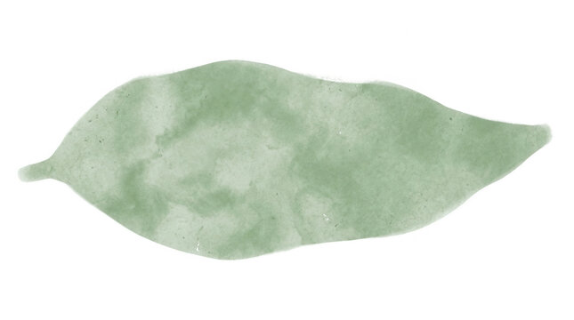 Une illustration artistique d'une feuille verte isol&eacute;e peinte &agrave; l'aquarelle avec des textures douces et un style minimaliste sur un fond blanc pur pour le design graphique.