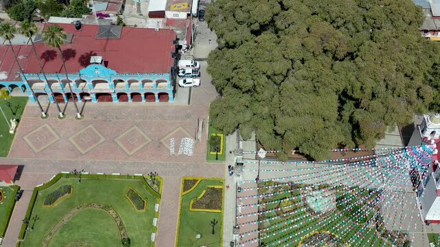 ARBOL MILENARIO DEL TULE OAXA AMEXICO