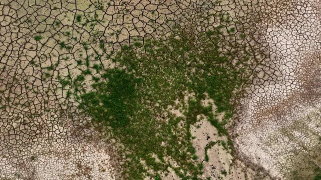 Aerial view of the cracked, dry earth and patches of green vegetation at the Tagebau Hambach open-pit mine in Elsdorf, Nordrhein-Westfalen, Germany.