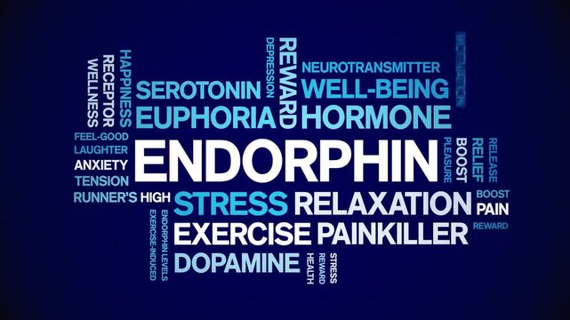 Endorphin animated word cloud-text design animation tag kinetic typography seamless loop.