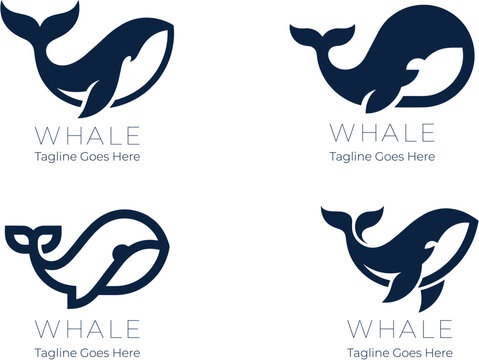Collection of four whale logo designs featuring elegant marine mammal silhouettes for ocean, wildlife, marine, nautical, and modern business branding.