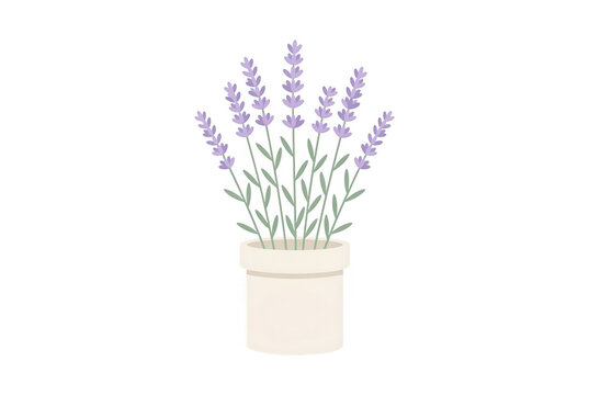 Vaso de cer&acirc;mica com flores de lavanda roxas em estilo de ilustra&ccedil;&atilde;o vetorial minimalista e plana, isolado em fundo branco.