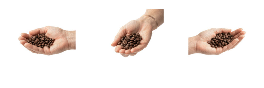 Set hands holding roasted coffee beans aroma caffeine energy drink morning breakfast beverage brown roasted fresh hot beverage organic natural product aromatic espresso flavor robusta arabica crop agr