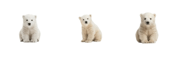 Cute Little Baby Polar Bear Cub Sitting and Looking Isolated PNG, Realistic Arctic Ice Wild Mammal Animal Graphic Element, Transparent Background Clipart for Winter Design Projects & Creative Digital  © Badar