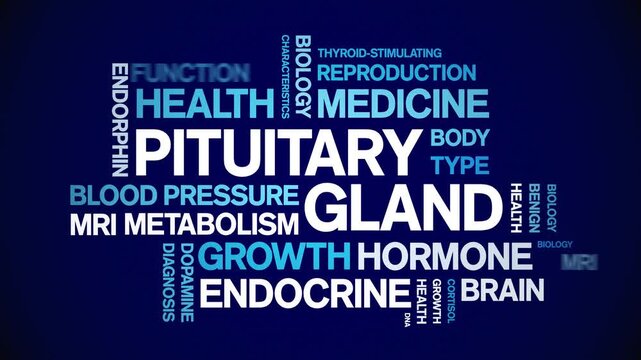 Pituitary Gland animated word cloud-animation tag kinetic typography seamless loop.