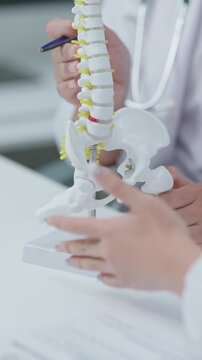 Medical team reviewing vertebral column model and discussing spinal structure, posture, and musculoskeletal health in clinic.