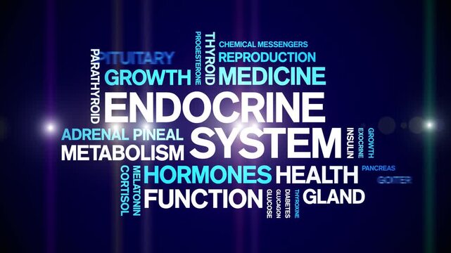 Endocrine System animated word cloud-animation tag kinetic typography seamless loop.