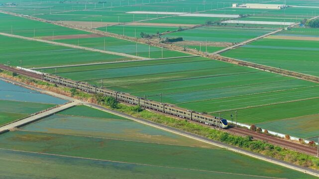 Aerial view of  Express train dashing through  rice fields