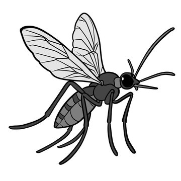 Cute cartoon flying mosquito insect illustration isolated on transparent background