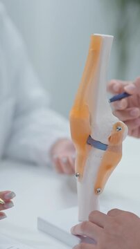 Healthcare professional discussing knee degeneration and ligament structure using anatomical knee model in clinical setting.