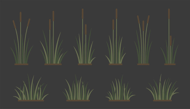 Flat vector illustration of green cattail reeds and marsh grass clumps set against a solid dark grey background.