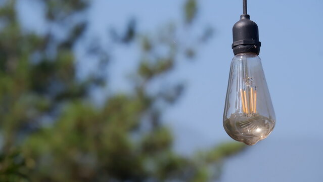 Vintage-Style LED lights with a backdrop of tree