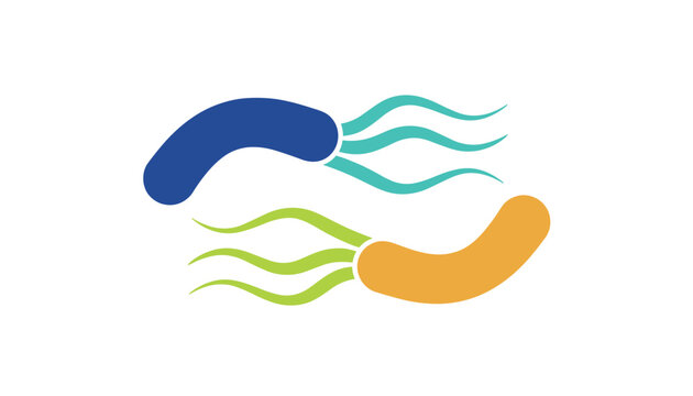 Microscopic view illustration of two flagellated bacteria cells in blue and orange, representing pathogens or probiotics.