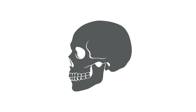 Gray silhouette of a human skull side profile, detailing teeth and jaw structure for anatomy or halloween themes.