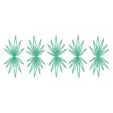 Minimalistische gr&uuml;ne Linienzeichnung von f&uuml;nf stilisierten Palmbl&auml;ttern in einer horizontalen Reihe auf wei&szlig;em Hintergrund als dekoratives Designelement.