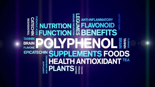 Polyphenol animated word cloud-animation tag kinetic typography seamless loop.