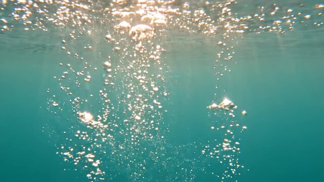 Underwater View of Rising Air Bubbles Floating Toward Water Surface