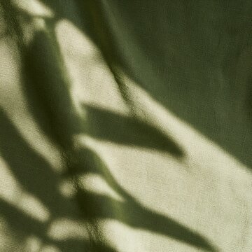 A backdrop in soft olive green shows faint shadows from an organic shape creating a simple and minimal design in a natural setting